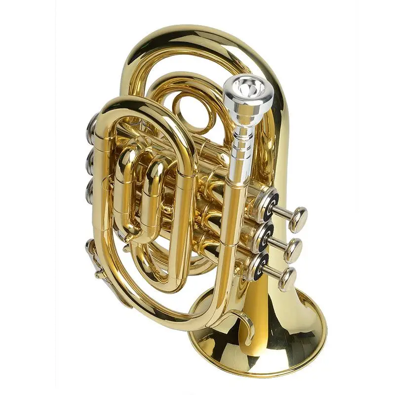 Palm Tromba Bb Key Pocket Mini Tromba A Tre Tasti Cornet Stage Performance Tromba Professionale Per Strumenti Musicali