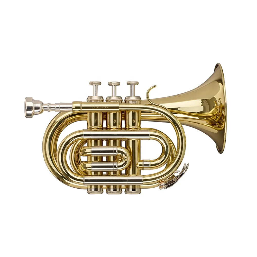 Seasound Oem Top Sale Professionale Più Grande Campana Mini Pocket Tromba Strumento Jypt407