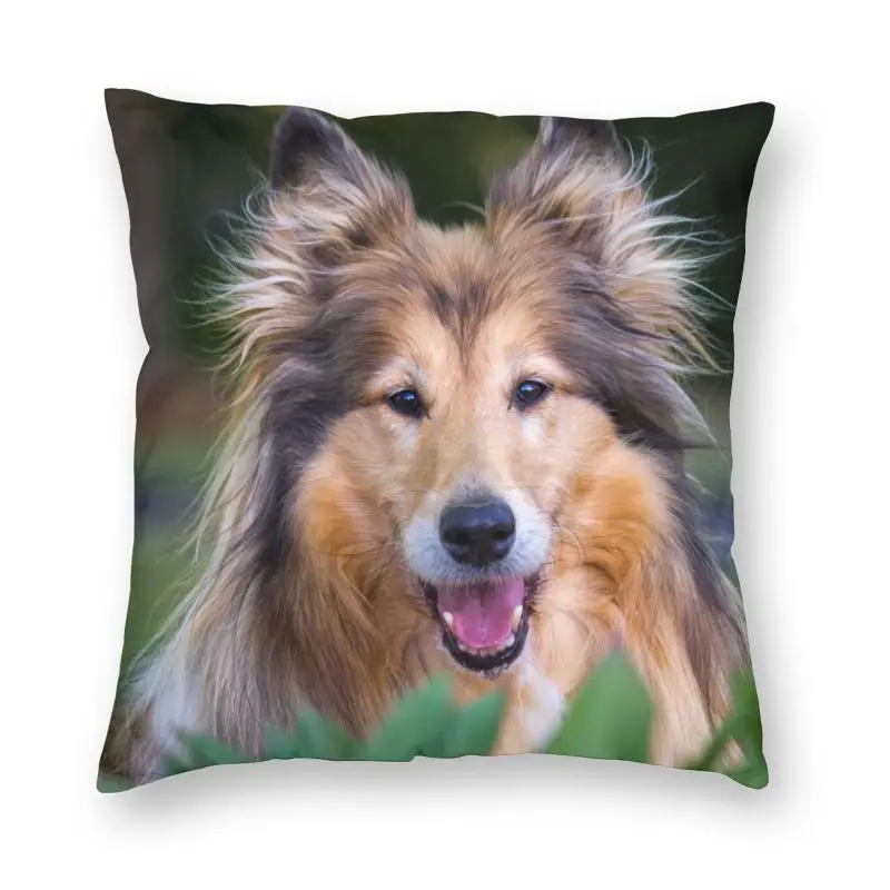 Custom Cool Collie Dog Surprise Pillow Case Decoration 3D Two Side Printing Puppy Pet Cushion Cover Per Auto
