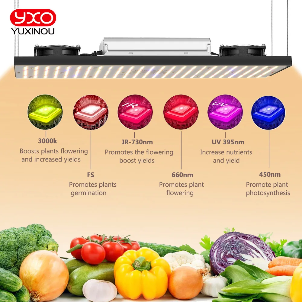 Super Bright 200W Samsung Lm301B Lm301H Dimmerabile Uv Ir Led Coltiva La Luce Driver Meanwell Per L'Illuminazione Della Crescita Delle Piante