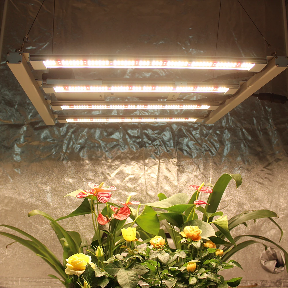 2024 Figolite Ultimo Samsung Lm301H Evo 240W 320W 480W 600W 720W 1000W Quantum Tech Led Bar Coltiva La Luce Uv Ir Switch Controll
