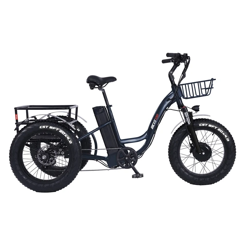 Ruota Triciclo Electrico Trike Motos Electricas