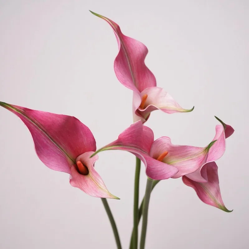 7Pcs Fiori Artificiali Calla Lily Alocasia Pu Fiori Finti Decorazioni Per Matrimoni Sposa Holding Bouquet Calla Home Party Business Floral