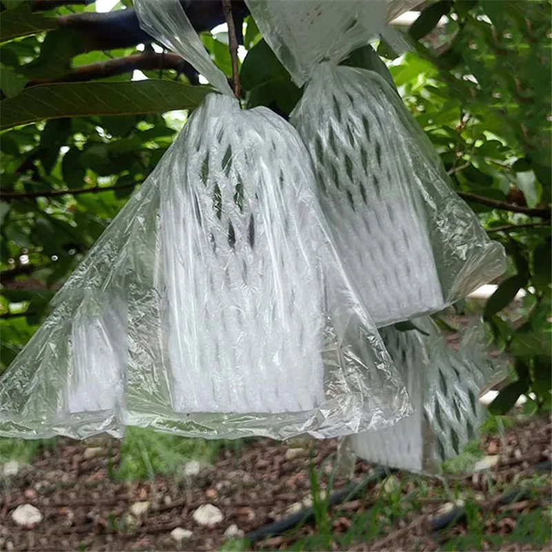100Pcs Guava Protection Cover Grow Bag Anti-Bird Insetto Net Bag Verdura Frutta Proteggi La Borsa Da Allevamento Prevenire L'Albero Da Frutto