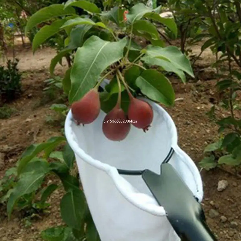 Raccoglitore Di Frutta A Lama Metallica A Due Vie High Tree Pear Jujube Picking Tools Kit Frutteto Per Apple Pear Cherry Per Mango Guava