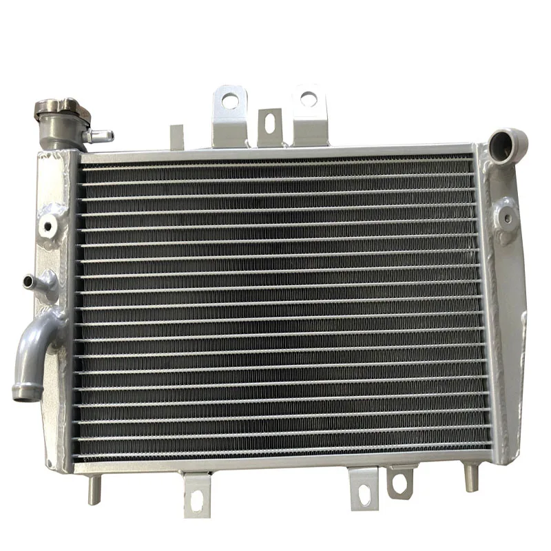 Radiatore In Alluminio Per Triumph Speed Triple 955I 2002 2003