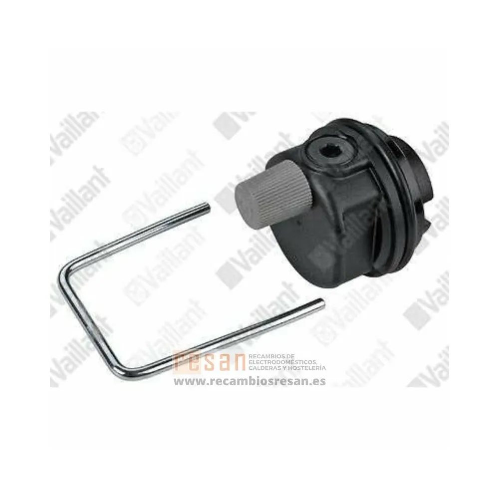 Purgers Steam Trap Saunier Vaillant C/Ring Gauge Compatibile Vetilant Fotocellula, Pompa, Modulo, Scheda, Scambiatore, Iniettore, Riempimento Chiave, 