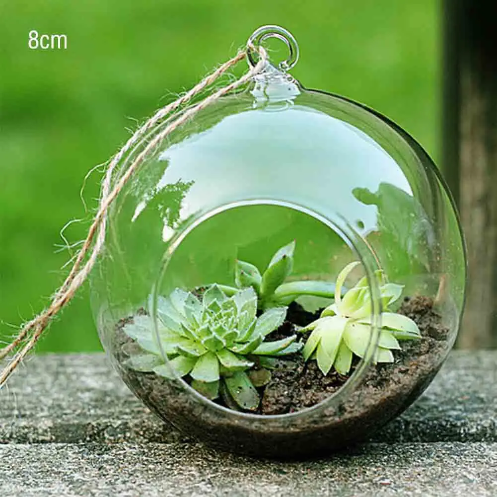 Palla Di Vetro Appesa Succulente Tealights Da Tavolo Terrario Vaso Candele Matrimonio Celebrazione Contenitore Nuovo Di Zecca