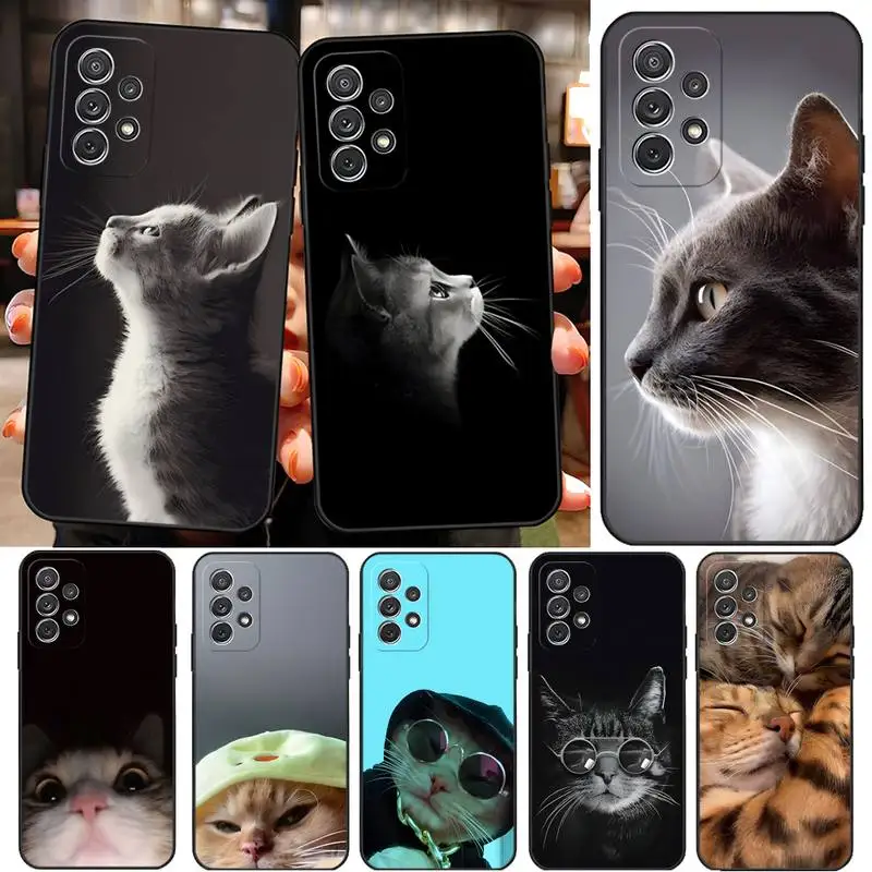 Divertente Cassa Del Telefono Del Gatto Per Samsung Galaxy M21 M11 M20 M10 M30 M31 M51 S5 S6 S9 S8 S7Edge Più Il Disegno Della Copertura Posteriore