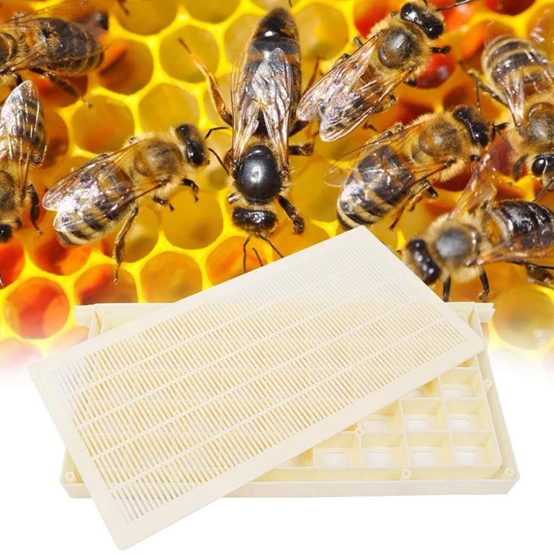 Telaio In Plastica Per Api Queen Beehive Queen Bee Storer Frame Style Per Stoccaggio E Trasporto Di Api Qeen