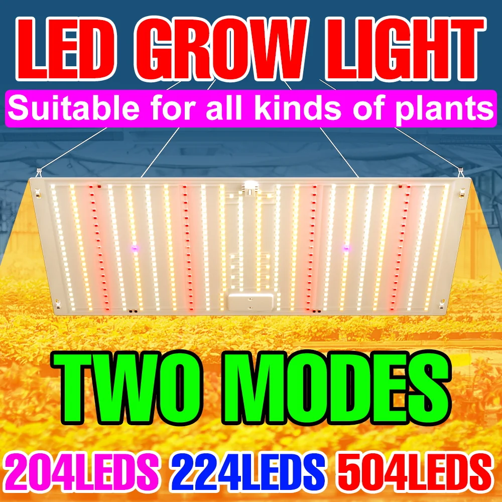 2000W Plant Led Lights Quantum Board Grow Light Serra Phyto Lamp Hydroponics Growing System Tenda Box Coltivazione Indoor