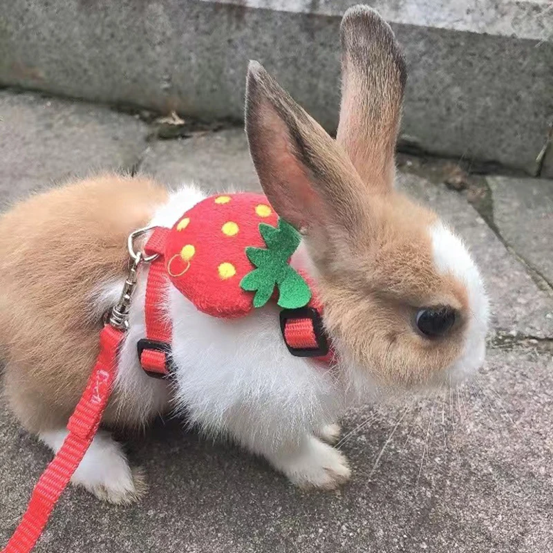Cartoon Rabbit Harness And Leash Set Walking Pettorine Regolabili Per Animali Di Piccola Taglia Bunny Cavia Mascotas Accessori