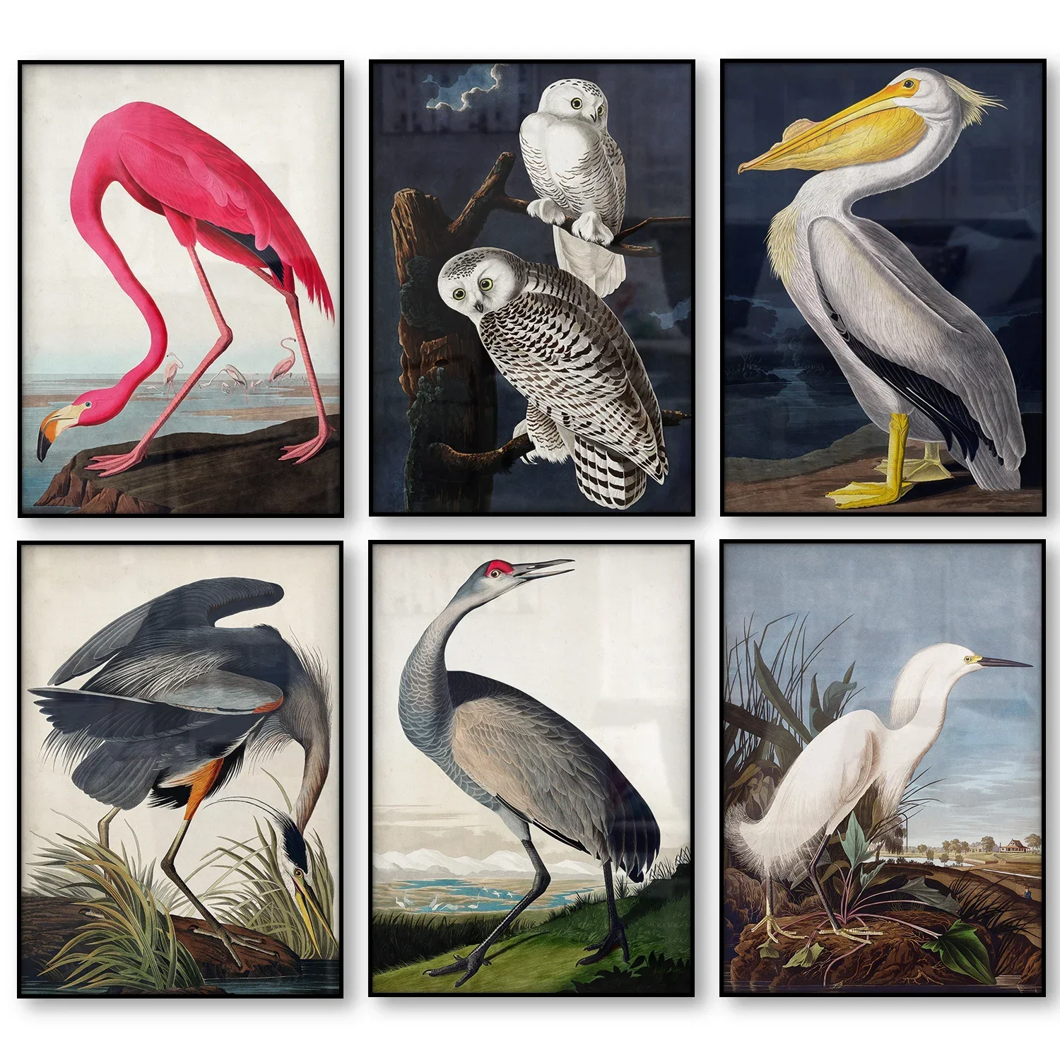 Vintage Bird Silk Print Audubon Bird Poster Pink Flamingo Snowy Owl Pellican Blue Heron White Egret Canvas Painting Wall Art