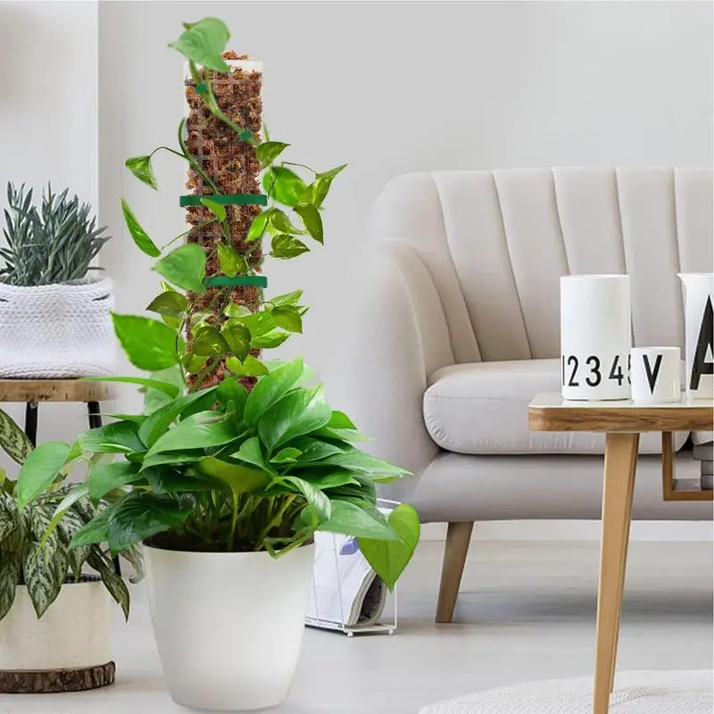 Monstera Plant Support Plastic Moss Pole Moss Pole Plant Support Pole Plant Pole Per Piante Rampicanti Da Interno Monstera Deliciosa