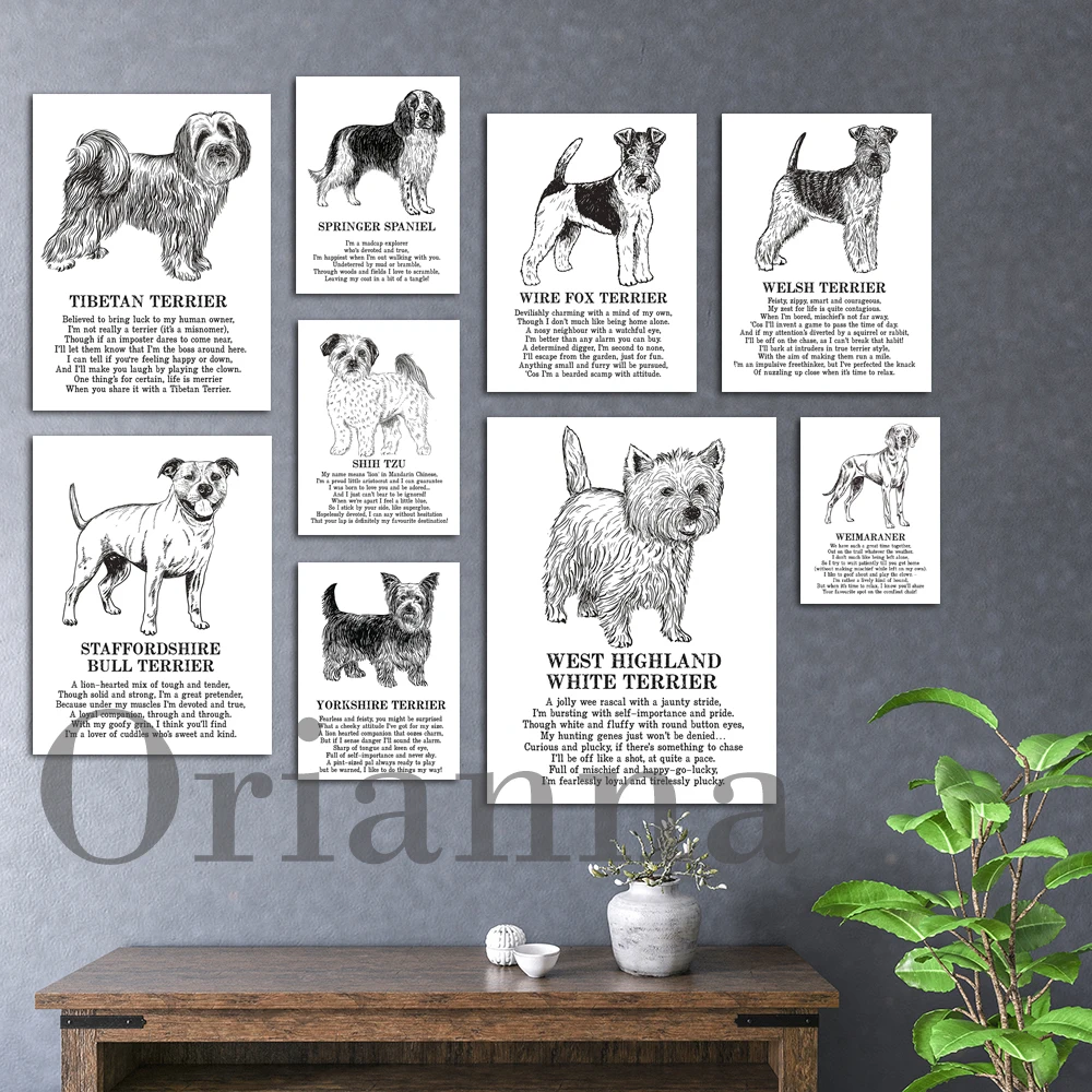West Highland White Terrier Shih Tzu Springer Spaniel Stafter Bull Terrier Stampa Pet Dog Canvas Poster Wall Art Per Regalo