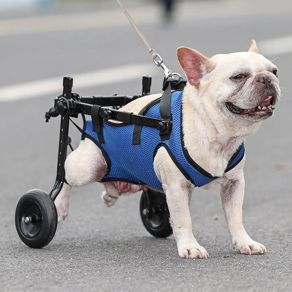 Sedia A Rotelle Regolabile Per Cani E Animali Domestici Arto Posteriore Gamba Posteriore Per Disabili Cat Walk Mobility Aid Gambe Leggere Strumenti Pe