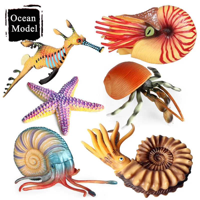 Simulazione Vita Marina Marina Marina Animale Stella Marina Ippocampo Nautilus Action Figures Hermit Crab Figurine Giocattoli Regali Per Bambini