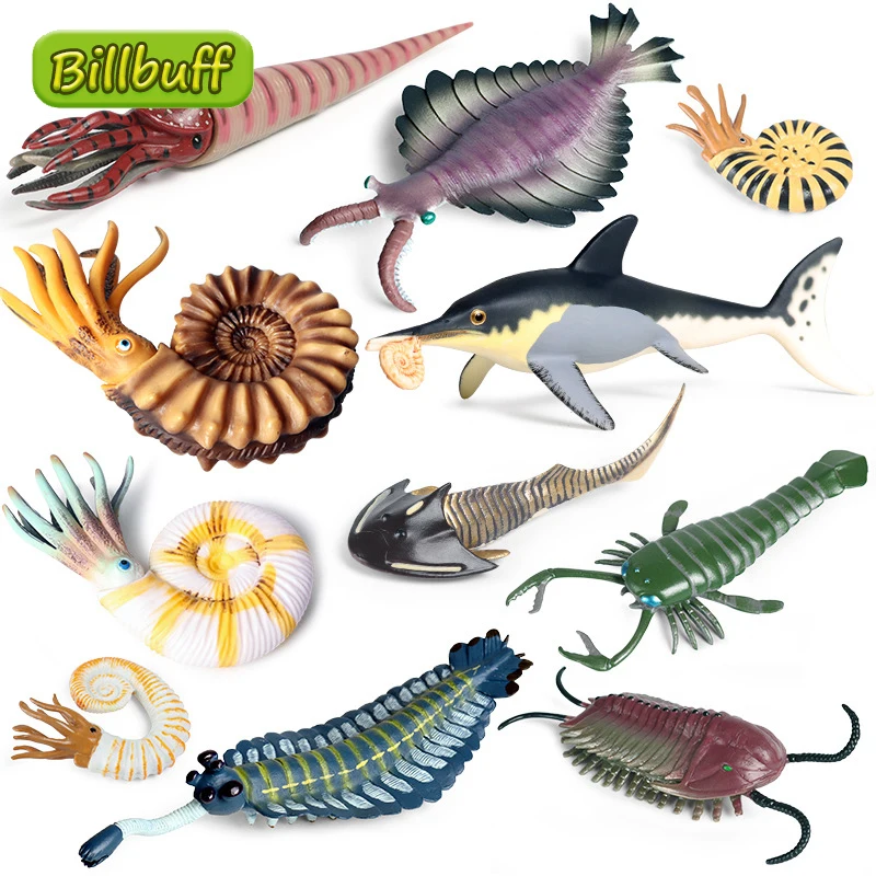 Simulazione Vita Marina Marina Marina Animale Nautilus Opabinia Trilobita Action Figures Modelli Giocattoli Cognitivi Per Regalo Per Bambini