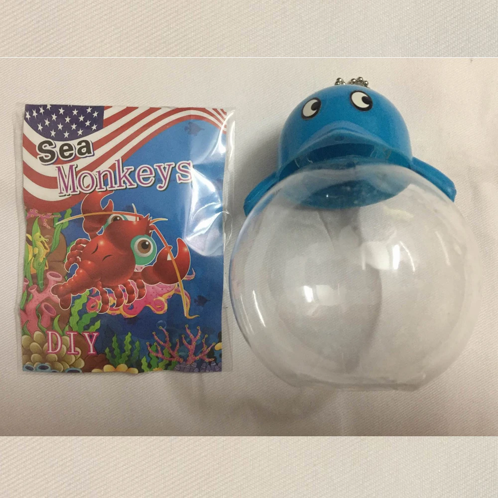 2022 15Mm L Sea Monkey Monkey Eggs With An Aquario Aquarium Kit Magic Living Animals Fairy Brine Gamberetti Artemia Salina Kid Toy