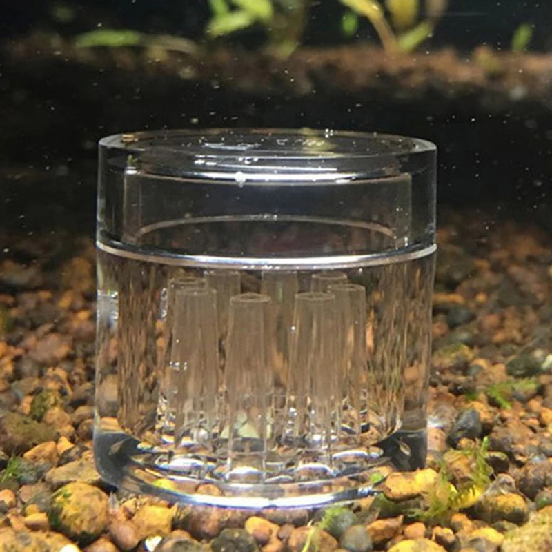 Planaria Trap Aquarium Worm Catcher Ghost Shrimp Forniture Per La Pulizia Dell'Acqua Dolce Clear Acrilic Threads Catching Can 8 Fori