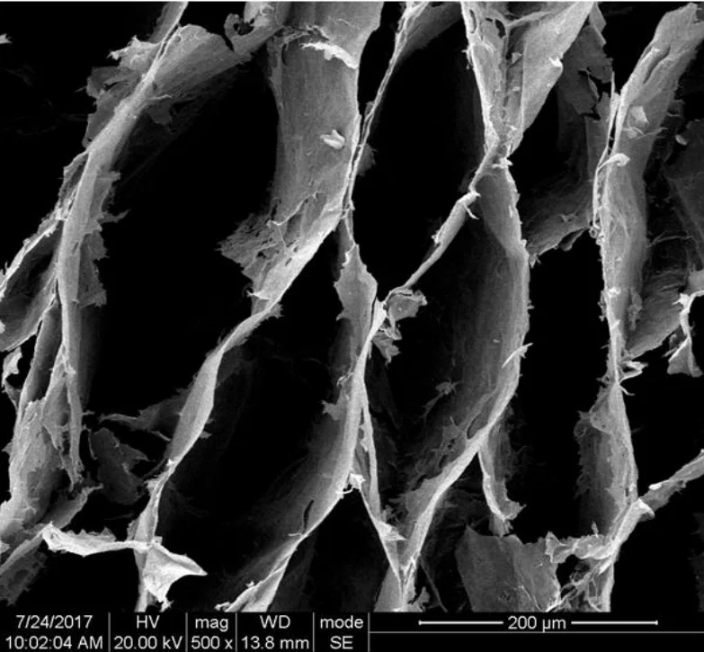 Ultralight Grafene Aerogel/Altamente Elastico Grafene Aerogel/Drogato Cnt Grafene Aerogel