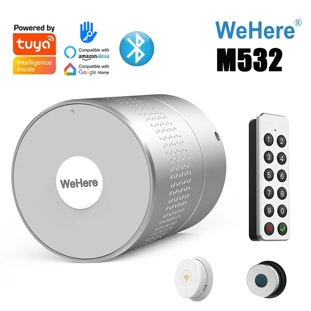 Tuya Ttlock App M532 Smart Door Lock Wehere Nuki Style Not Change Lock Supporto Cilindro Alexa Google Home Fingerprint Door Lock