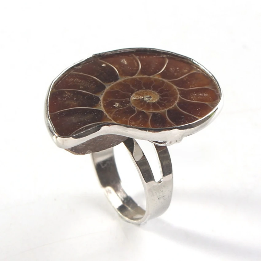 Trendy-Beads Anello Di Ammonite Regolabile Placcato Argento Unico Fashion Natural Ammonite Reliquiae Stone Rings Jewelry For Women Men