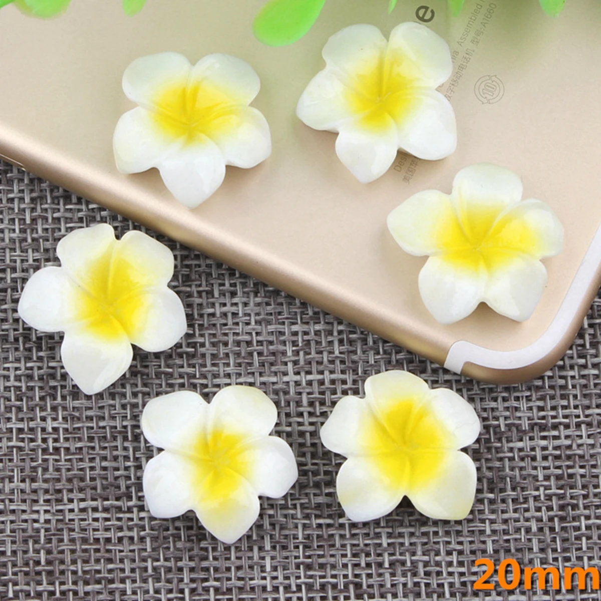 20 Bianco Cabochons Flatback Della Resina Cabochons Del Fiore Di Plumeria Rubra 20Mm (3/4 ")