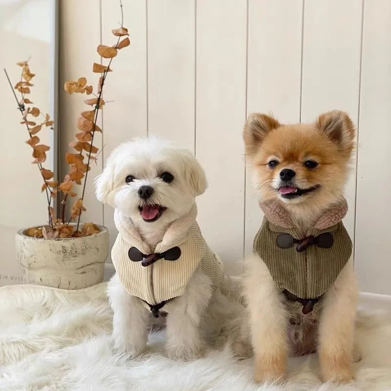 Autunno E Inverno Cow Horn Buckle Coat Pet Cotton Coat Teddy Bibear Vip Bomei Cat Schnauzer Small Puppy Dog Clothes Inverno