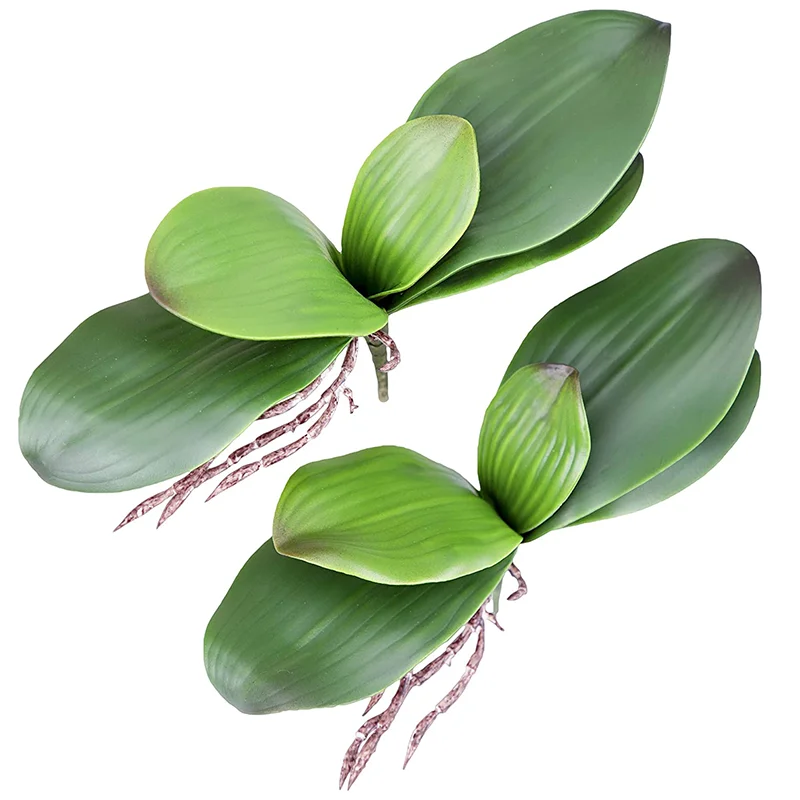 Foglie Di Orchidea Steli Di Phalaenopsis Artificiale Foglia Faux Cymbidium Flower Fogliame Verde Real Touch Latex Bulk Home Decor