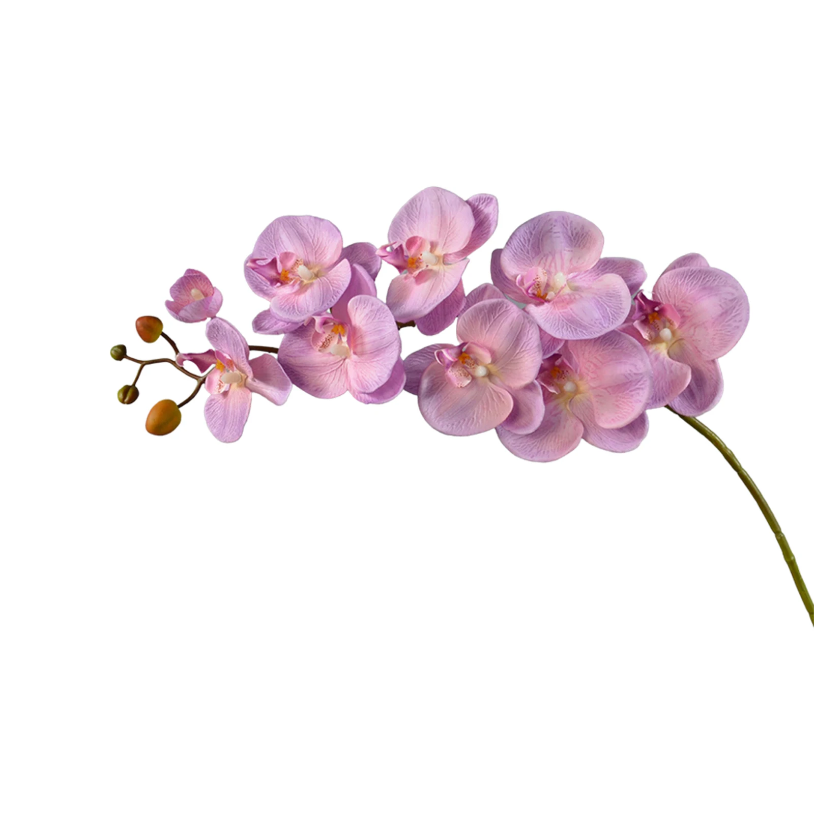 Real Touch Faux Cymbidium Flowers Artificial Orchid Steli Home Decor Plastic Iron Wire Rod Creative Fake Phalaenopsis Branches