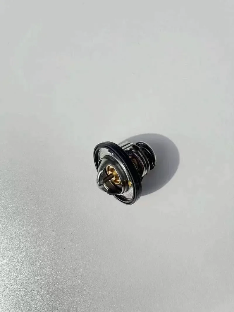 1 Pc Accessori Auto Termostato Per Jeep Compass Chrysler Sebring 55111016Ab