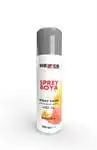 Heb191107 Per Vernice Spray Aiutante Ral 9006 Grigio Metallizzato