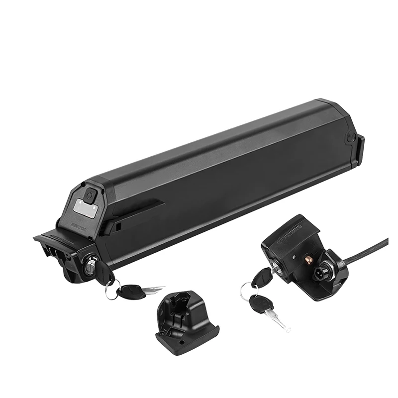 48V Reention Dorado Plus Batteria Ebike 10.4Ah 11.6Ah 12.8Ah 14.5Ah 17.5Ah Per Ncm Mosca Milano Aspen Venezia Bici Elettrica
