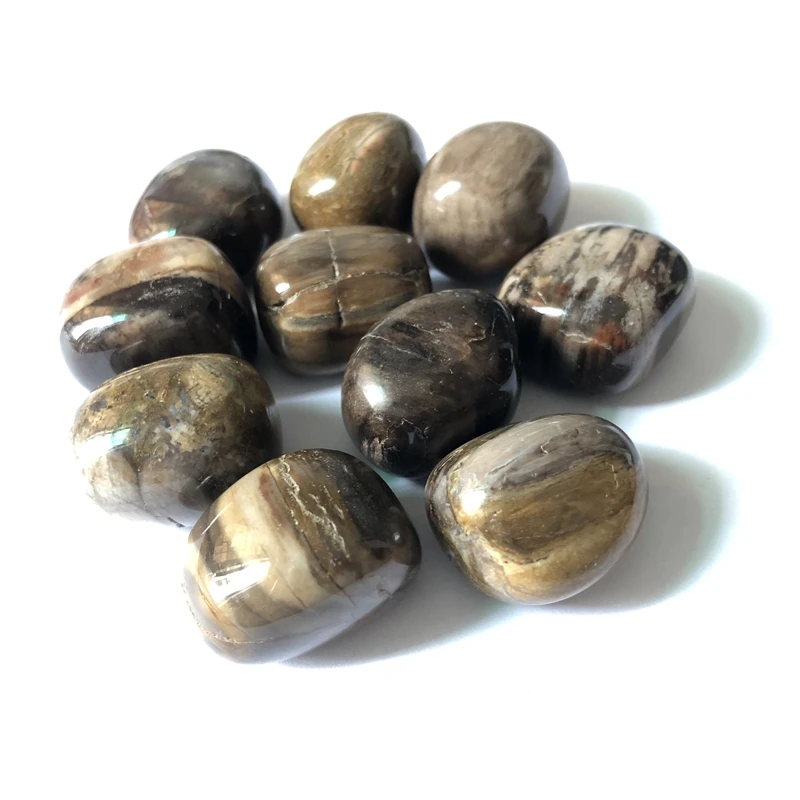 Grado A Petrified Wood Fossill Perline Di Cristallo Tumble Pietra App1 "Dono Naturale Di Guarigione Cristalli Di Pietra 10 Pz/Lotto