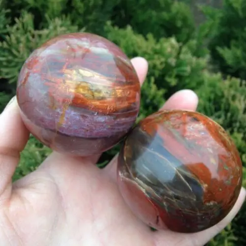490-500Gnatural Lucidatura Petrified Wood Fossil, Mano Giocare A Palla, Per Il Fitness Ballm