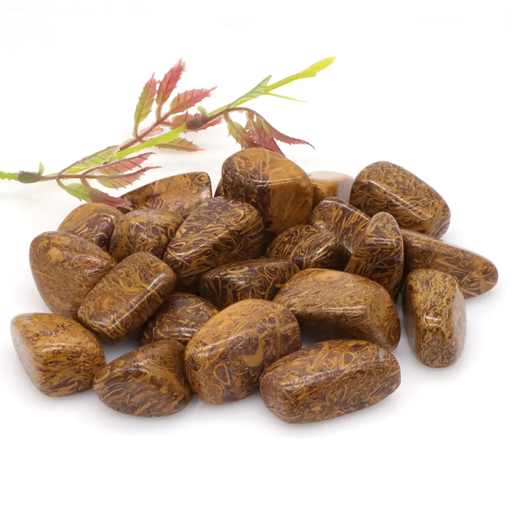 Pietra Burattata Naturale Fossile Elefante Pelle Diaspro Reiki Guarigione Cristallo Energia Campione Irregolare Rock Bulk Home Aquarium Decor