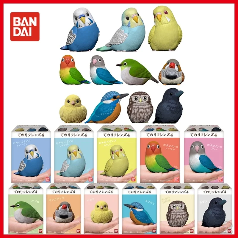 Bandai Genuine Gashapon Toys Cockatiel Sparrow Pacific Parrot Lovebird Fat Cute Action Figure Toys Palmar Animal Decoration Deco