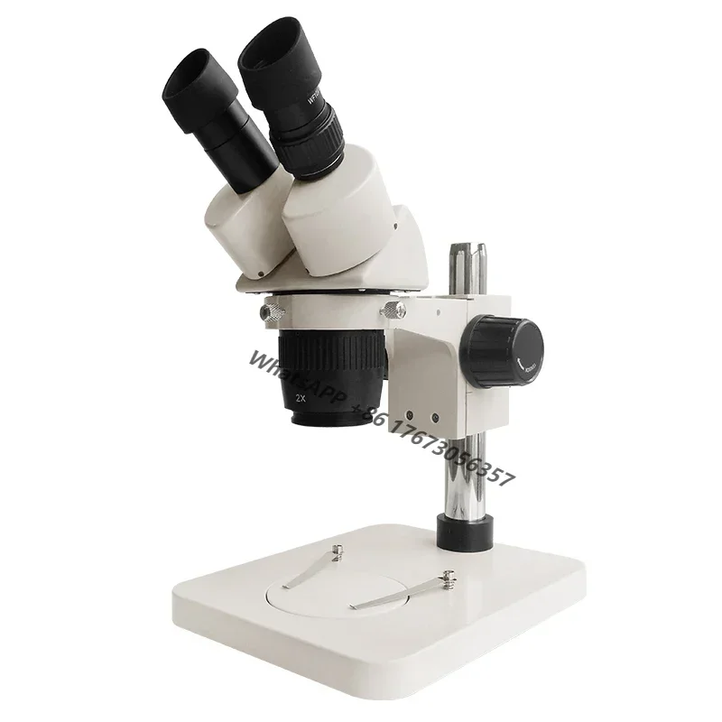 Microscopio Microscopio Stereo Binoculare 20/40X Torretta Obiettivo Natura Accendino Stereoscopico