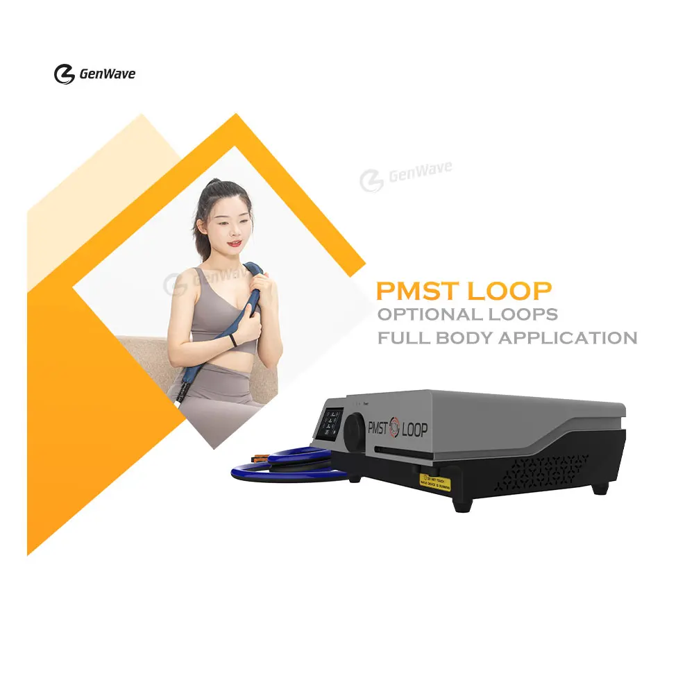 Pmst Loop Pemf Elettromagnetico Physio Magneto 6000 Gauss Pain Machine