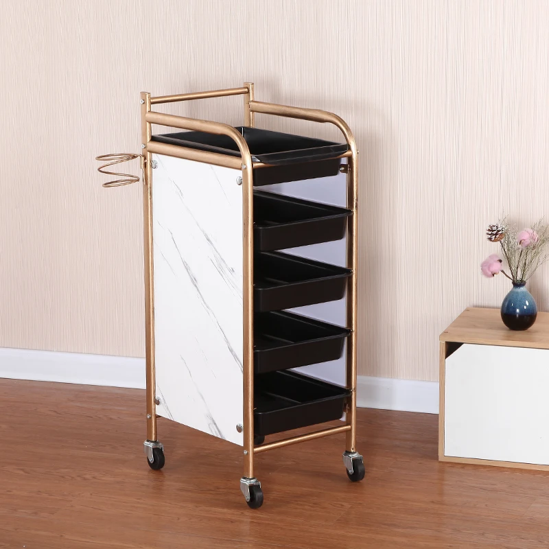Diffusore Tattoo Salon Trolley Hair Reception Tattoo Hotel Salon Trolley Spa Carrinho Auxiliar Salon Furniture Rr50St
