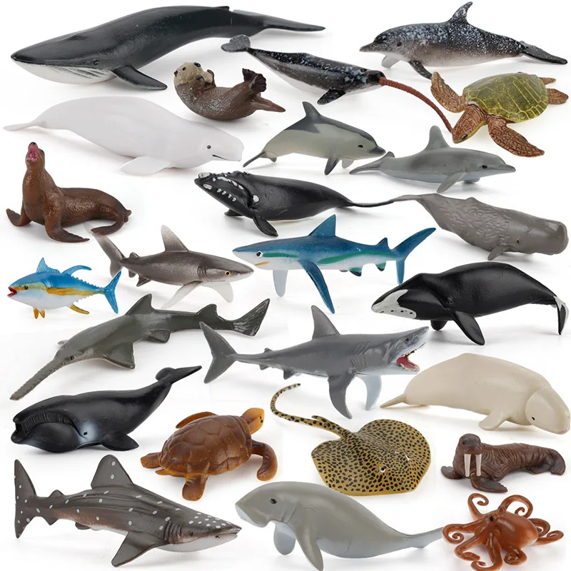 Animali Marini In Miniatura Action Figure Ocean World Ausili Didattici Modello Balena Blu Delfino Biologia Educazione Giocattoli Di Squalo Per Bambini