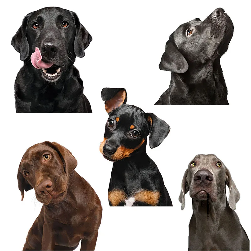 Three Ratels Qd112 Divertente Labrador Retriever E Doberman Pinscher Sticker Decorazione Della Casa Frigorifero Decal Laptop Toilet