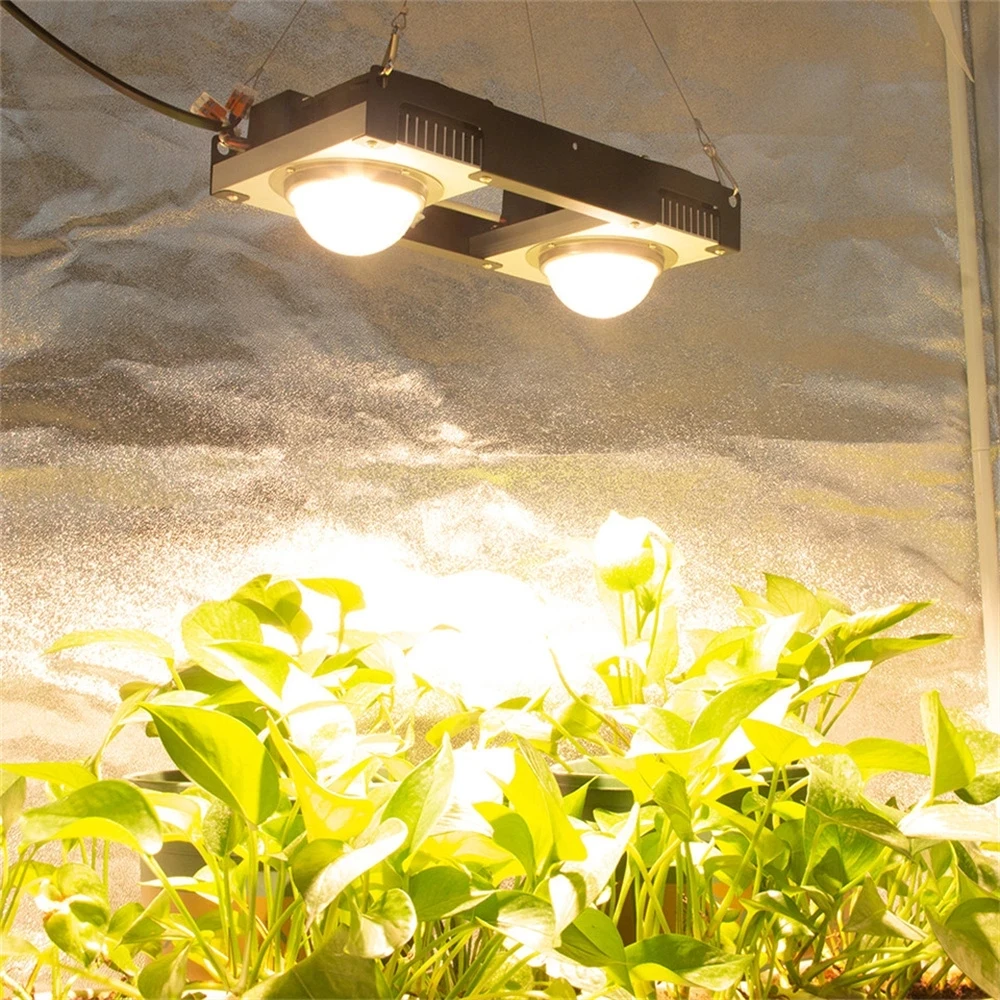 Cree Cxb3590 Cob Led Coltiva La Luce Spettro Completo Citre1212 200W Led Pianta Coltiva La Lampada Per La Tenda Da Interno Serre Pianta Idroponica