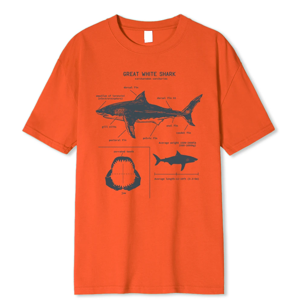 Stampa Grafica Di Squalo Anatomico New Summer Street Maniche Corte Shark Parts Anatomy Pattern