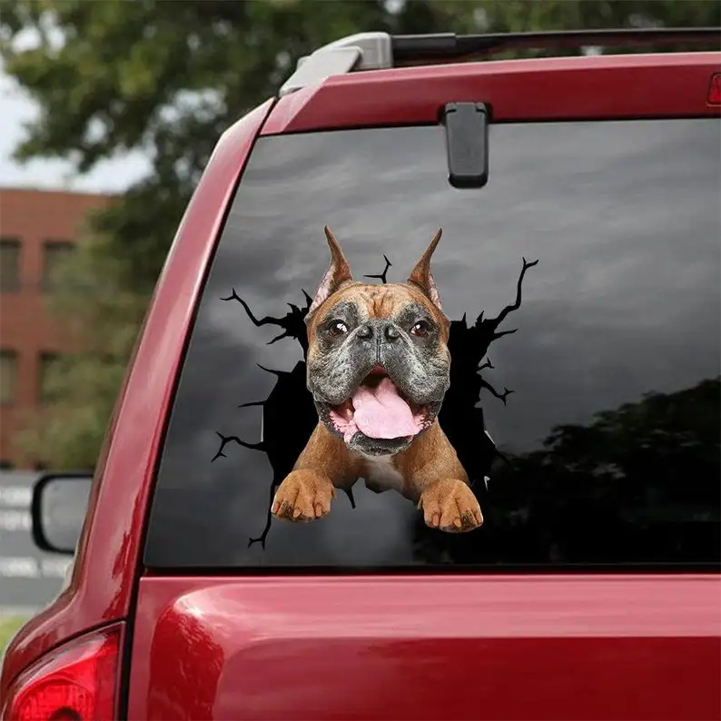 Boxer Decal - Fits Cars, Windows, Laptops And Any Smooth Surface, Boxer Stickers, Custom Boxer Stickers, Custom Sticker, Persona