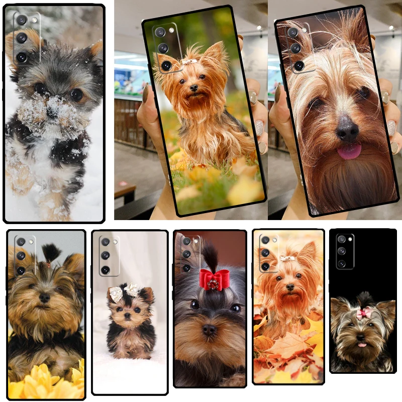 Custodia Morbida Mini Yorkshire Terrier Per Samsung Galaxy S22 Ultra S8 S9 S10 S20 Fe S21 Plus S10E Note 20 Ultra Cover