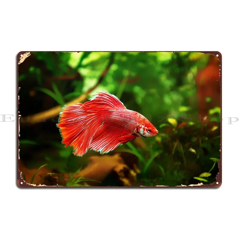 Betta Wonderns Fish Metal Sign Wall Cave Garage Wall Decor Cinema Tin Sign Poster