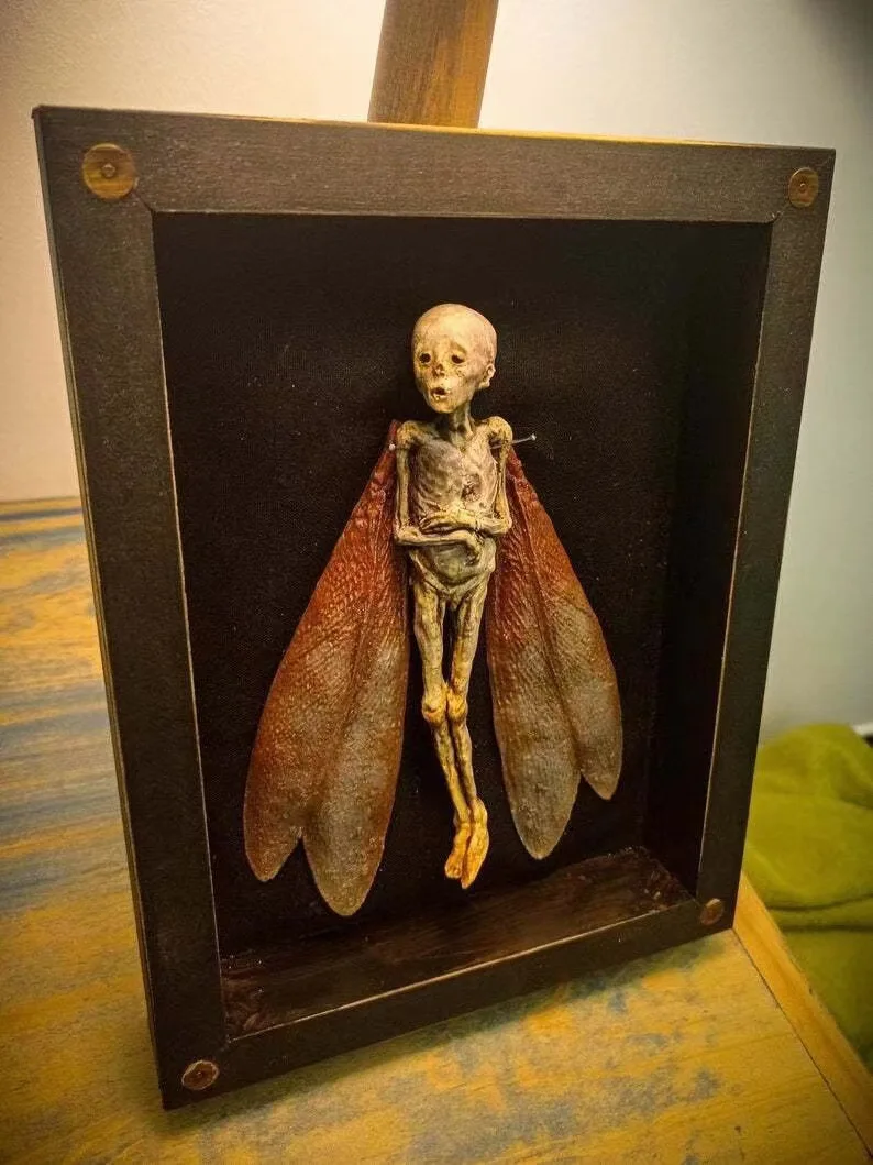 Antique Skull Moth Wall Mounted Picture Frame Decorative Halloween Ornament Collectible Figurine Office Bookshelf Tv Stand Art