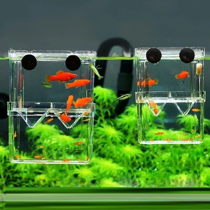 Acquario Multifunzionale Per Pesci Ad Alta Trasparenza Scatola Di Isolamento Per Allevamento Di Pesci Acquario Acquario Doppio Guppies Incubatore Da C